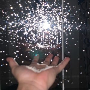 Meet your Posher, Ernesto